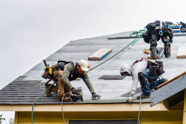 Professional Gutter Installation technician working in Coon Rapids, MN