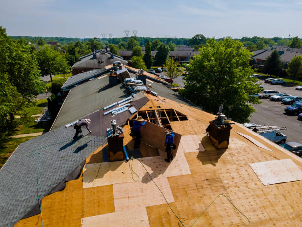 Trusted Emergency Roof Repair service in Coon Rapids, MN - Brentwood Metal Roofing